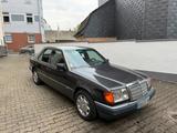 Mercedes-Benz Mercedes W124 250D Turbo Sportline Klima D... - Mercedes-Benz E 250 in Hamm