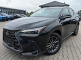 Lexus NX 350h Executive Hybrid - Lexus aus 2024: Nx