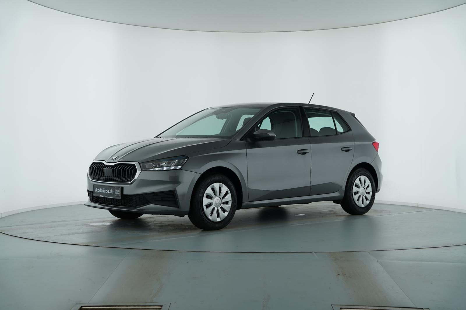 Skoda FABIA ACTIVE 1.0MPI -BIS ZU 800KM REICHWEITE-