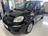 Fiat Panda Pop Klima  1 Hand - Fiat Panda: Schwarz