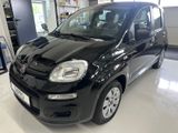 Fiat Panda Pop Klima  1 Hand - Fiat Panda: Pop