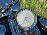 Harley-Davidson     Softail Custom (FXCWC / Rocker C) - Angebote