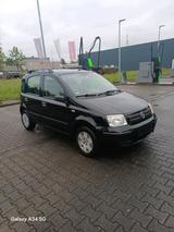 Fiat Panda 1.2 dynamic - Fiat Panda in Bonn