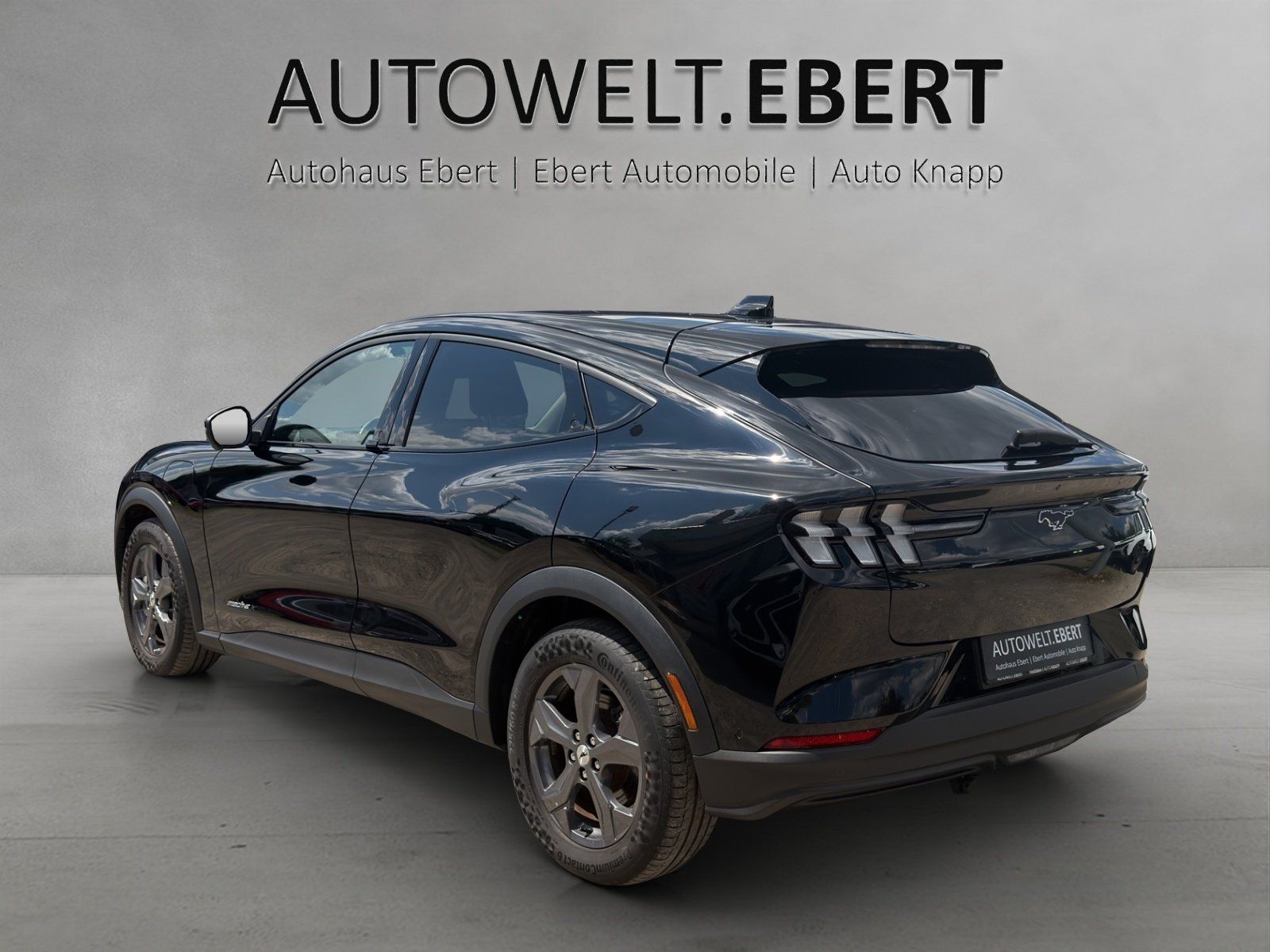 Fahrzeugabbildung Ford Mustang MACH-E Basis (Extended Range)