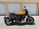 Ducati Scrambler 1100 Tribute Pro - DUCATI SCRAMBLER 1100 TRIBUTE PRO