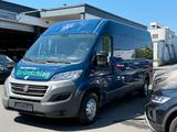 Fiat Ducato Grossr.-Kasten 35 130 L4H2 RS: 4035 mm - blaue Fiat Ducato