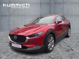 Mazda CX-30 L SKYACTIV-G 2.0 M Hybrid 6GS AL-SELECTION - Mazda CX-30: Limousine