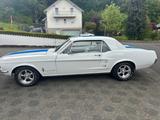 Ford Mustang - gebrauchte Ford Mustang aus dem Jahr 1967