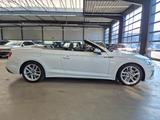 Audi S5 CABRIOLET 3.0 TFSI QUATTRO MATRIX KEYLESS SHZ - gebrauchte Audi S5 aus dem Jahr 2024