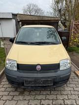 Fiat Panda 1.1 - Fiat Panda in Magdeburg