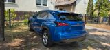 Lexus NX 300h E-FOUR Luxury Line Luxury Line - Lexus Gebrauchtwagen von 2017