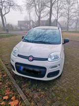 Fiat Panda - Fiat Panda in Freiburg