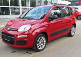 Fiat Panda  Automatik*Klima*PDC*I Hand* - Fiat Panda: I