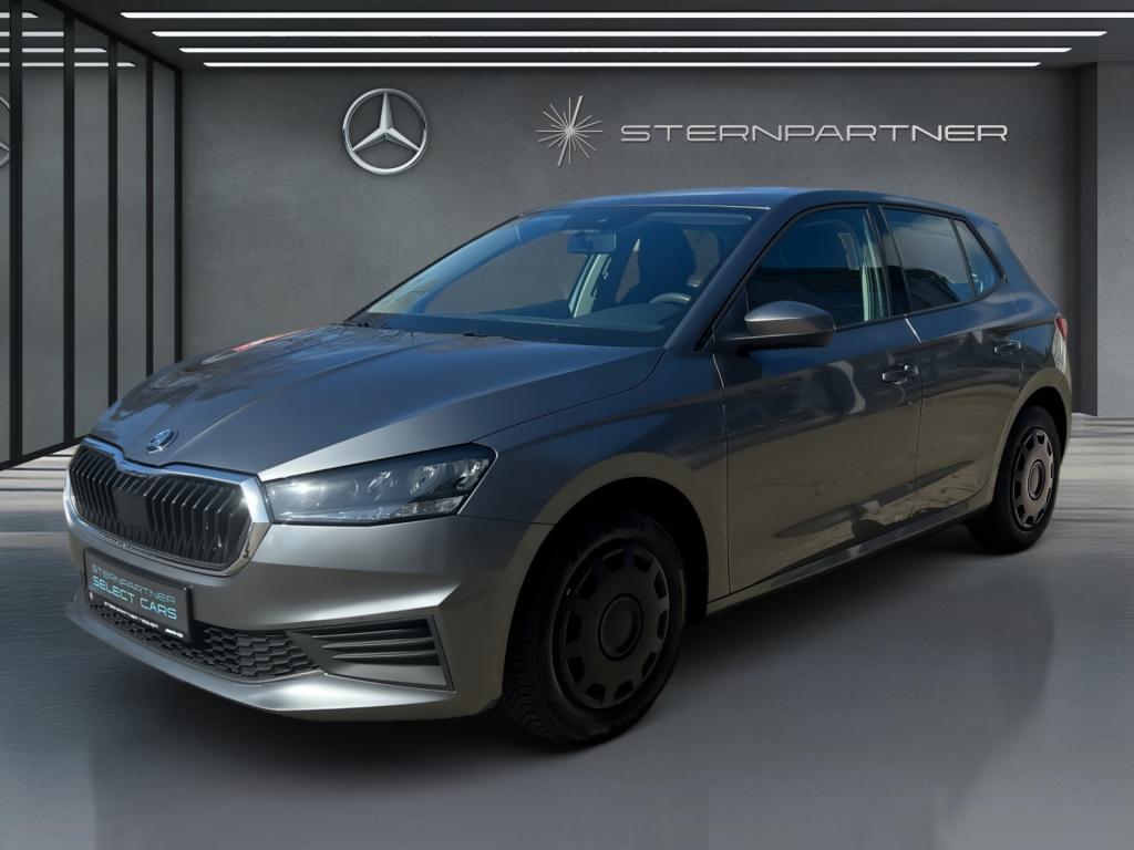 Skoda Fabia Active LED+SmartLink+Einparkhilfe+Winter-P