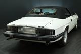 Jaguar XJS V12 5,3|2.Hd.|deutsch|66tkm|Scheckheft|Klima - Jaguar XJS: Cabrio