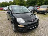 Fiat Panda Pop 1.2 Klima - Fiat in Kiel