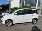 Fiat Panda Lounge Klima+Bluetooth - Fiat Panda Gebrauchtwagen in Hannover