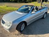 Mercedes-Benz Mercedes CLK Cabrio W209 Avantgarde - Mercedes-Benz: Clk W209