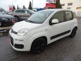 Fiat Panda - Fiat Panda: Weiß