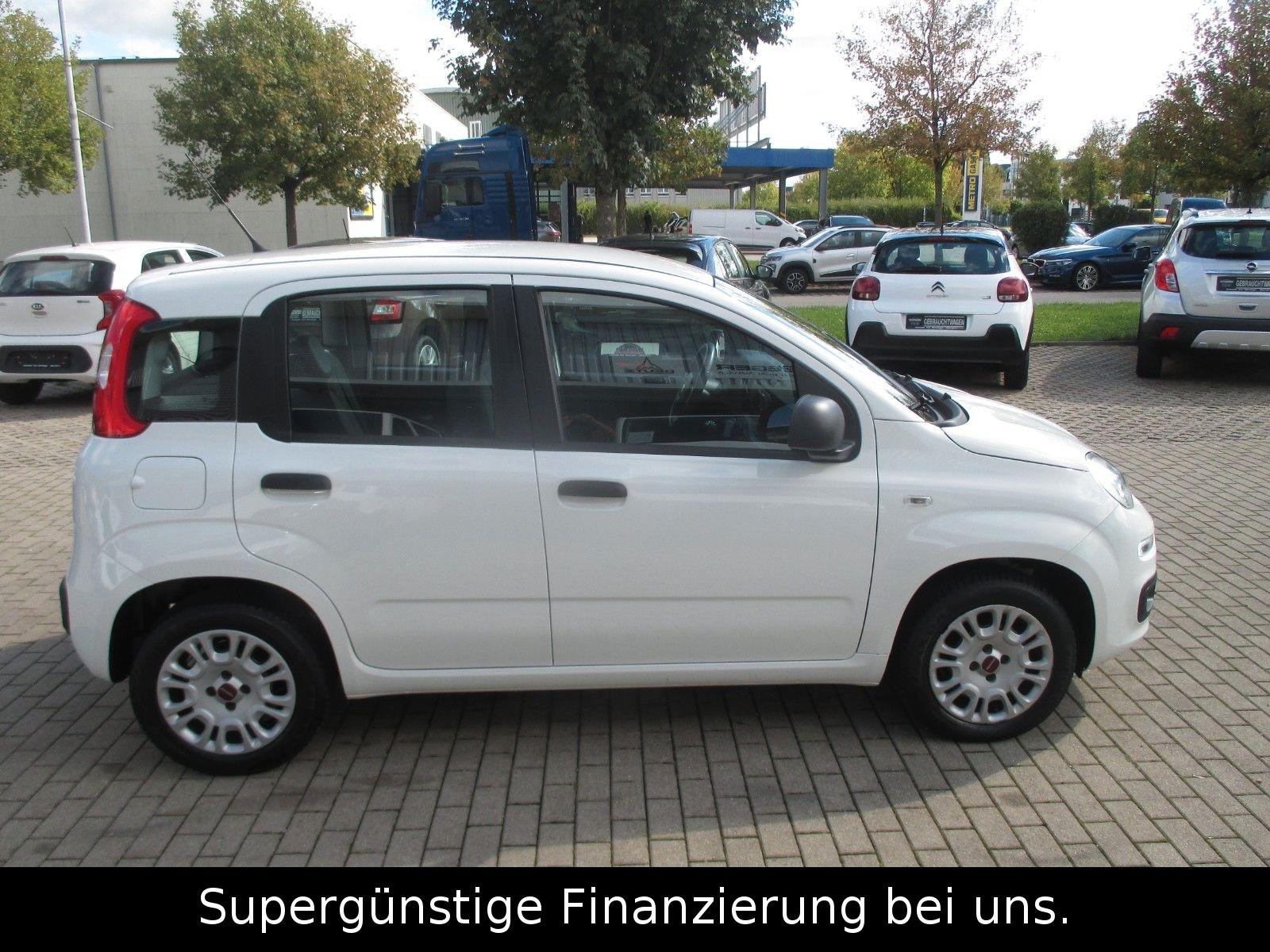 Fiat Panda Easy 1,2. KLIMA,GARANTIE,1-HAND