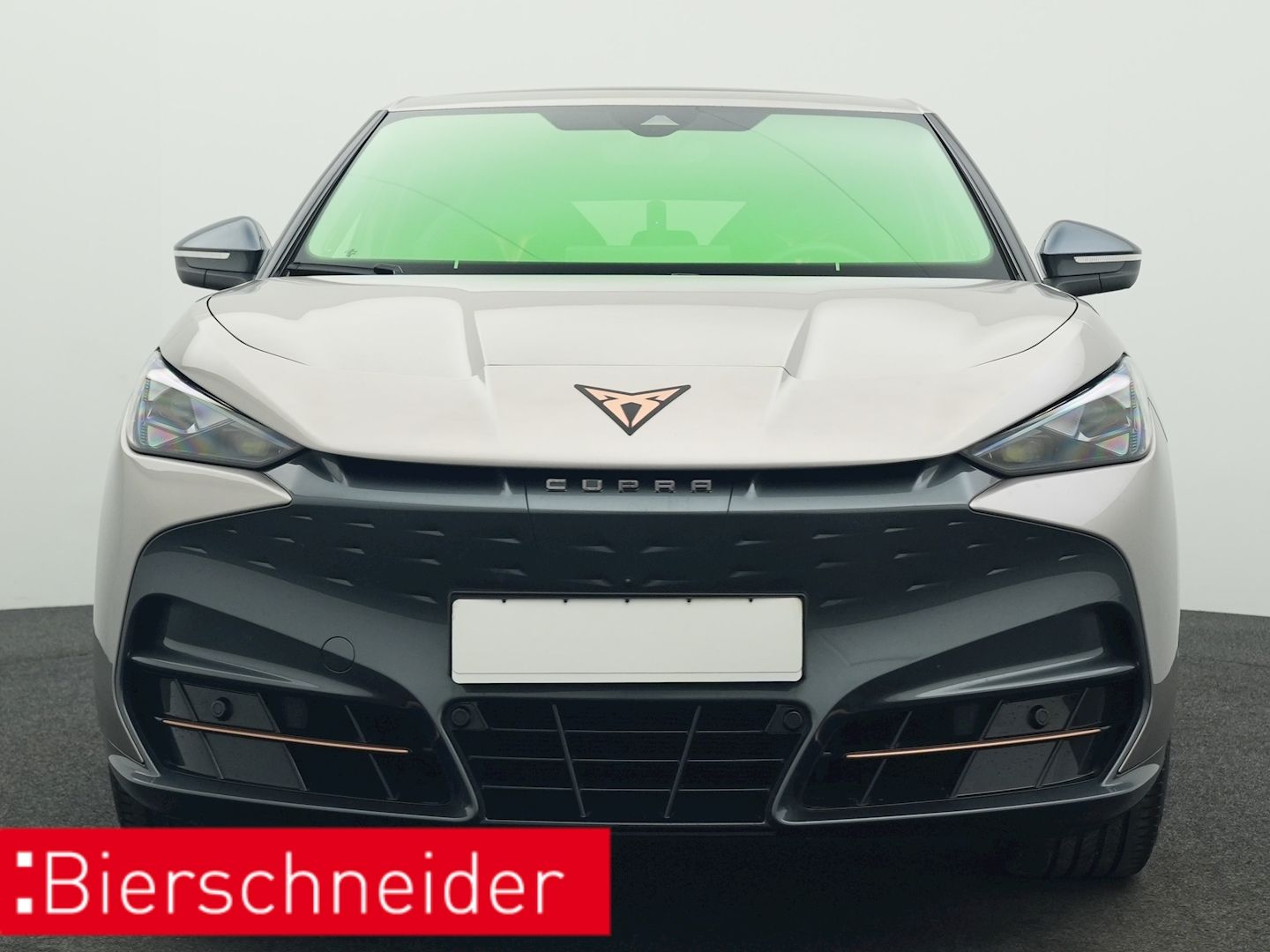 Cupra Tavascan - Bild 10