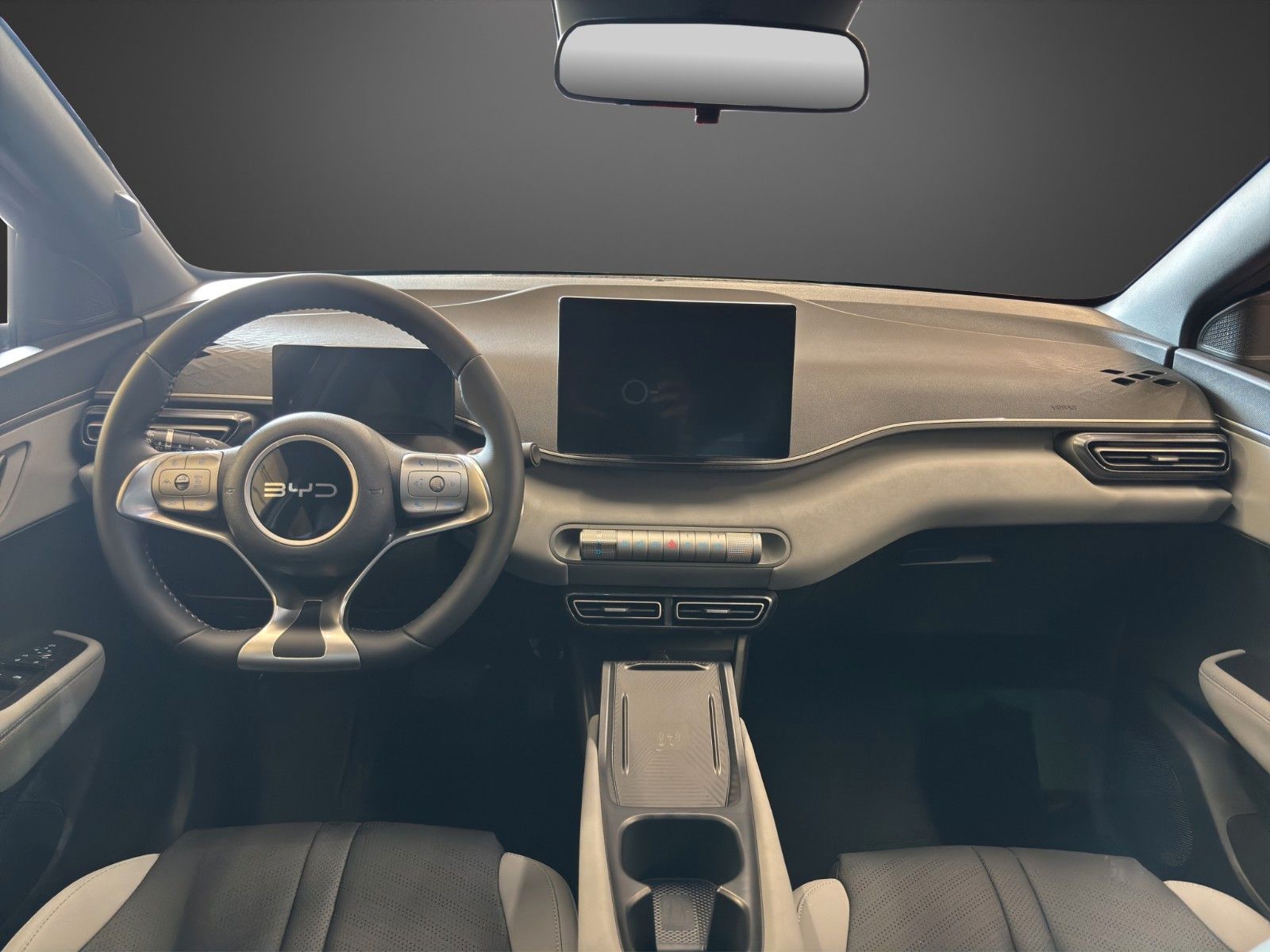 BYD DOLPHIN SURF