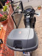 Honda Transalp XL 600 V PD10