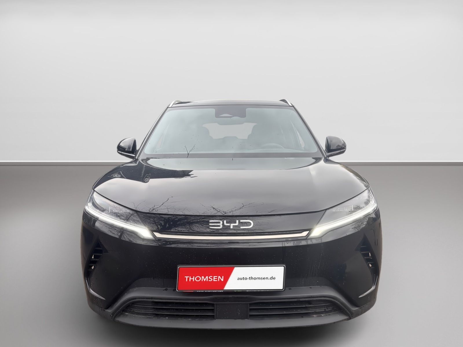 BYD ATTO 2
