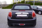 MINI Cabrio 1.5 Cooper LED Sitzheizung Sportsitze PDC - MINI Cooper Cabrio Gebrauchtwagen