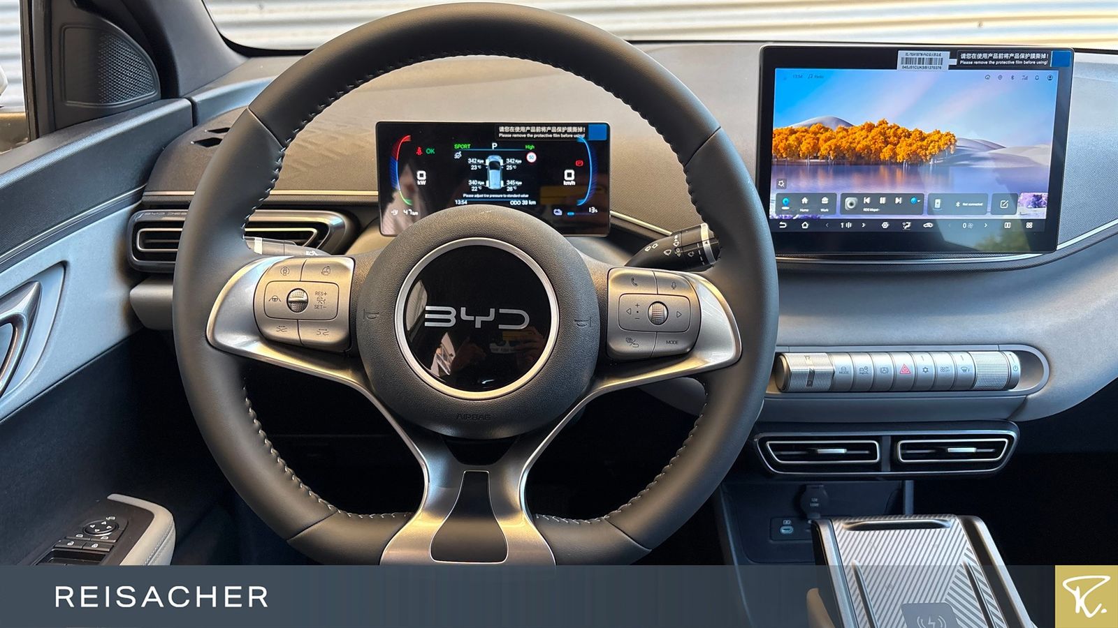 BYD DOLPHIN SURF