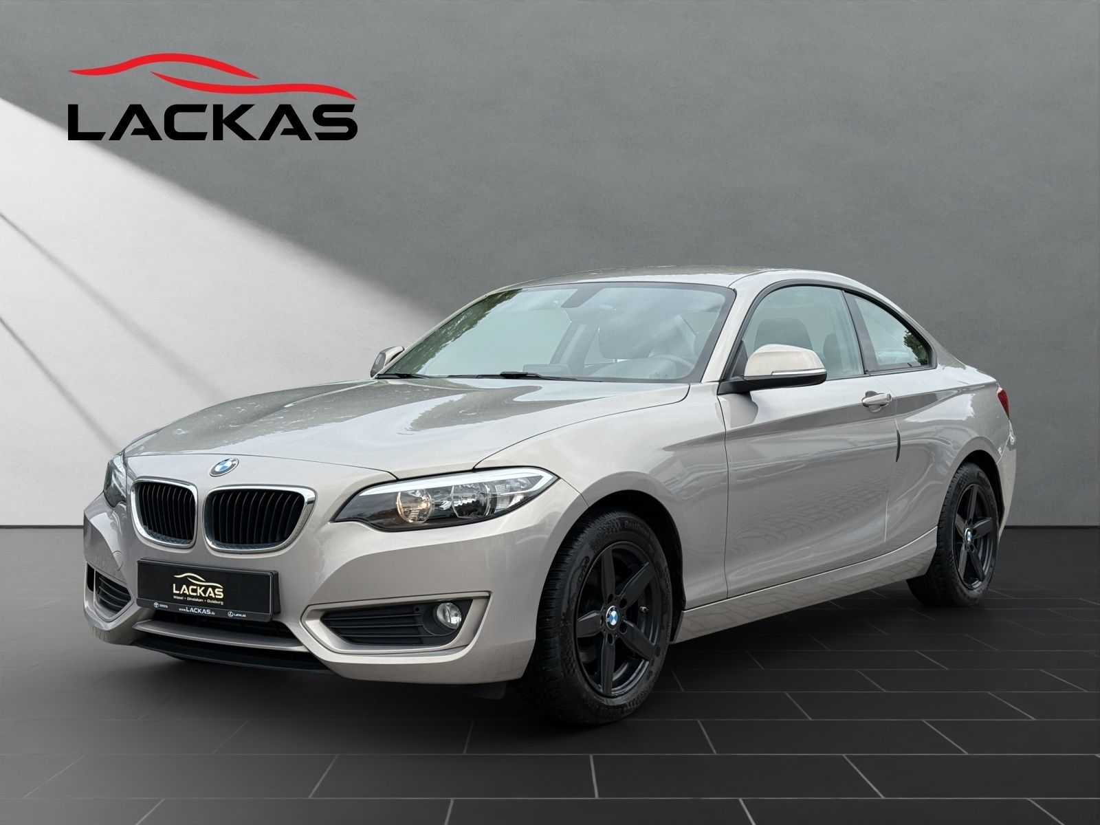 BMW 218 Coupe Advantage PDC*8-FACH*TOP*