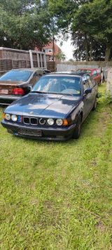 BMW 525i ohne Vanos Schalter Tausch möglich - BMW 525 aus 1991: 525i