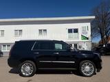 Cadillac Escalade 6.2 V8 Platinum/HEAD-UP/TV/7-SITZE/VOLL - Cadillac Escalade: Geländewagen