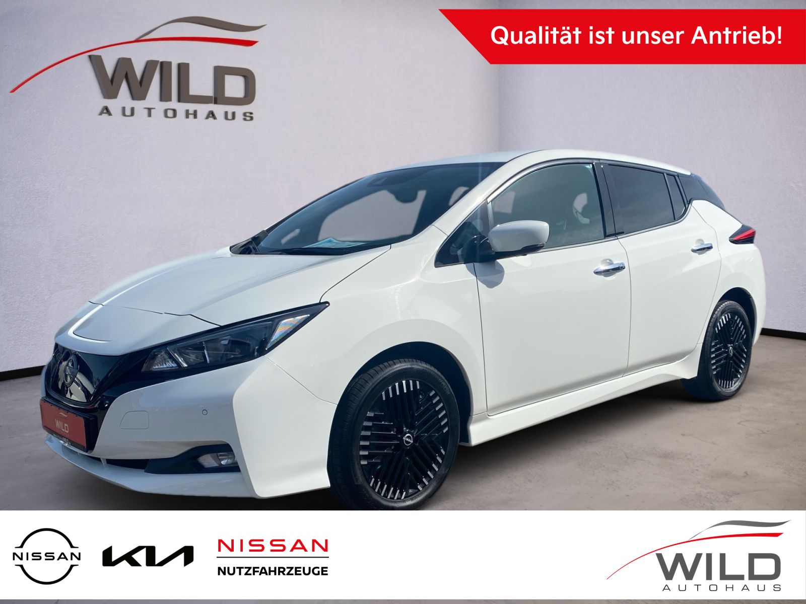 Nissan Leaf | 62 kWh | e+ Connecta | Apple | 18 Zoll