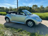 Volkswagen New Beetle Cabriolet 1.6 *mit Austauschmotor* - Volkswagen: Austauschmotor