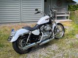 Harley-Davidson Sportster XL 883 L Super Low - Angebote entsprechen deinen Suchkriterien