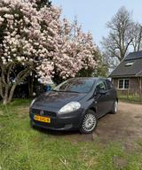 Fiat Punto 1.2 8V Dynamic Dynamic - Fiat Punto: Dynamic