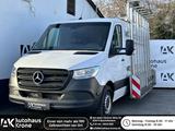 Mercedes-Benz Sprinter III Kasten 314 CDI  HEGLA AUFBAU* GLAST - Angebote