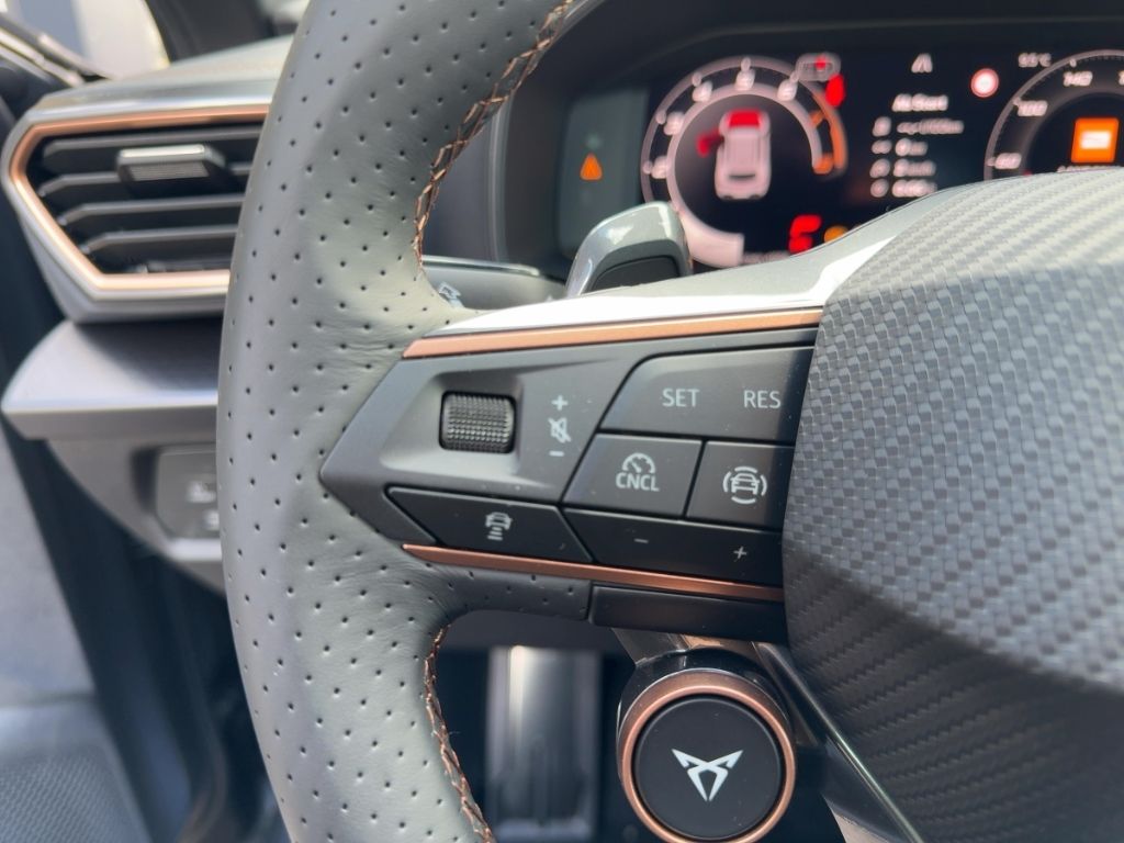 Fahrzeugabbildung CUPRA Formentor VZ 2.0 EXTREME MATT AKRAPOVIC MATRIX