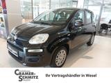 Fiat Panda Pandina Icon - Fiat Panda Neuwagen mit Benzin-Antrieb
