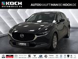 Mazda CX-30 SKYACTIV-G 2.0 M-Hybrid SELECTION Navi HUD - Mazda CX-30 Gebrauchtwagen in Berlin