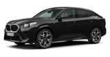 BMW X2 sDrive20i M Sport HeadUp. AHK. Driv.Ass.Plus - BMW X-Reihe: Van