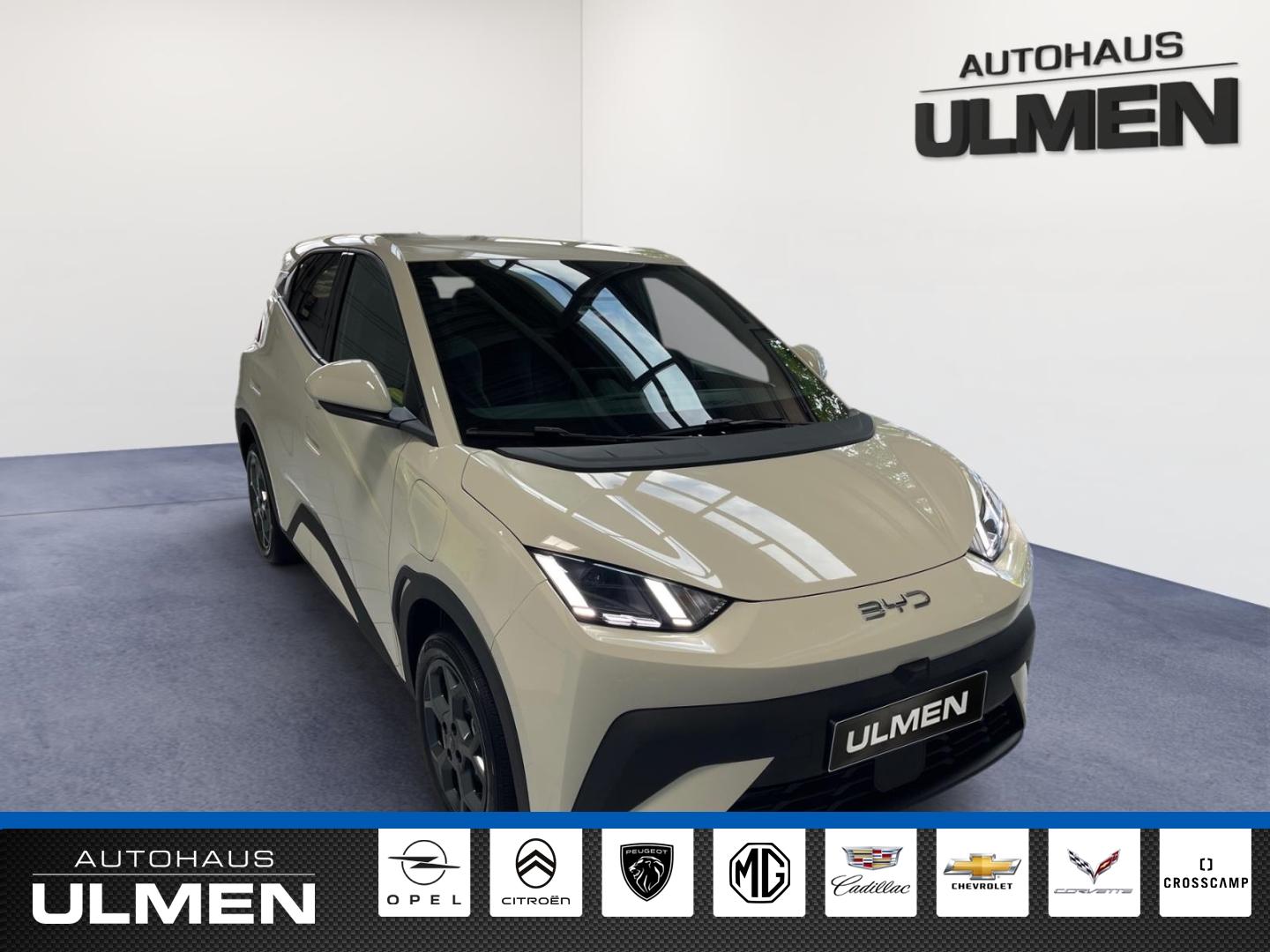 BYD Dolphin Surf 115KW Comfort Leder Navi Sitzheizun