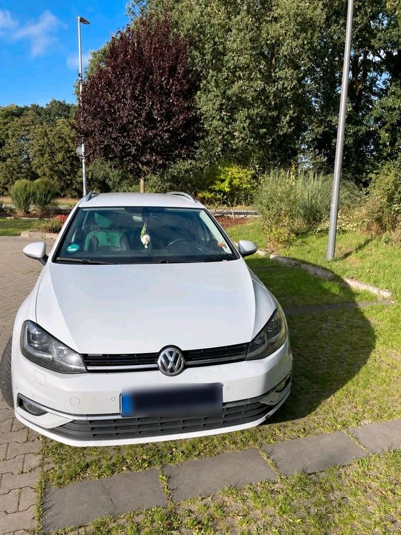 Image of Volkswagen Golf