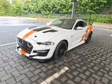 Ford Mustang GT500 Shelby look, 5.0 - Ford: Shelby
