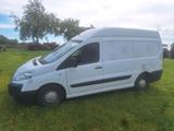 Peugeot expert - gebrauchte Peugeot Expert aus dem Jahr 2007