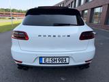 Porsche Macan Panorama Bose Luftfahrwerk Kamera PDLS  - Porsche Macan in Essen