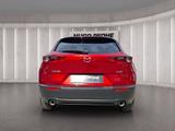 Mazda CX-30 Homura 2.0 e-SKYA.X. MHEV Aut. | LED | ACC - Mazda CX-30 aus 2023