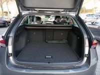 Skoda Octavia - Vorschau Bild 21