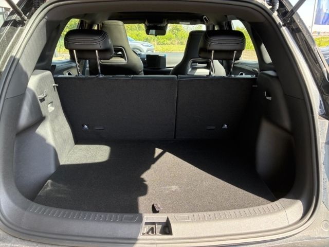 BYD ATTO 2